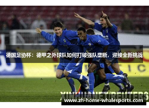 德国足协杯：德甲之外球队如何打破强队垄断，迎接全新挑战