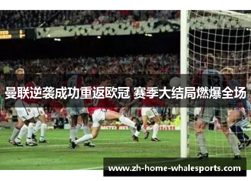 曼联逆袭成功重返欧冠 赛季大结局燃爆全场